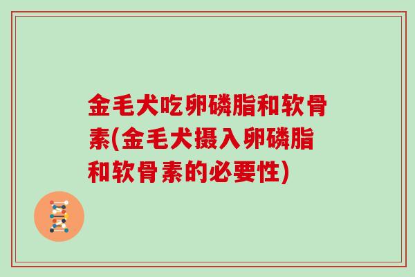 金毛犬吃卵磷脂和软骨素(金毛犬摄入卵磷脂和软骨素的必要性)