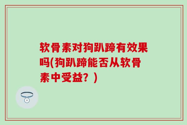 软骨素对狗趴蹄有效果吗(狗趴蹄能否从软骨素中受益？)