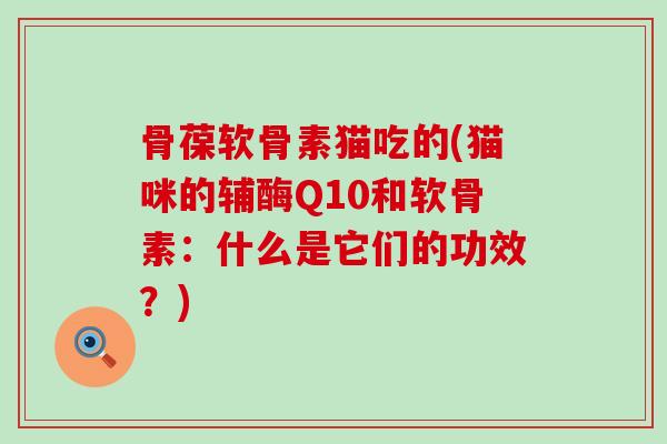 骨葆软骨素猫吃的(猫咪的辅酶Q10和软骨素：什么是它们的功效？)