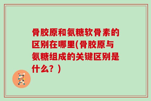 骨胶原和氨糖软骨素的区别在哪里(骨胶原与氨糖组成的关键区别是什么？)