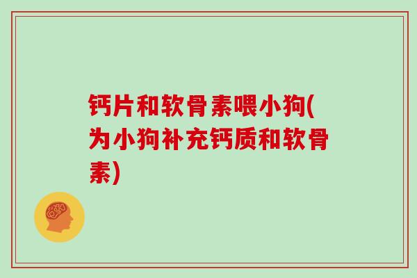 钙片和软骨素喂小狗(为小狗补充钙质和软骨素) 钙片和软骨素喂小狗(为小狗补充钙质和软骨素)