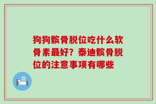 狗狗髌骨脱位吃什么软骨素好？泰迪髌骨脱位的注意事项有哪些