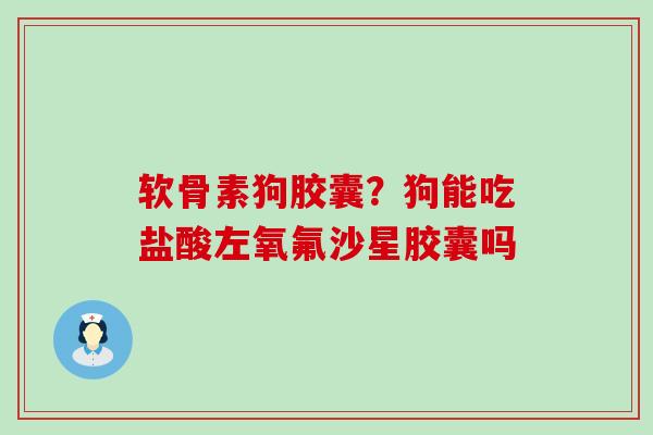 软骨素狗胶囊?狗能吃盐酸左氧氟沙星胶囊吗 软骨素狗胶囊?狗能吃盐酸左氧氟沙星胶囊吗