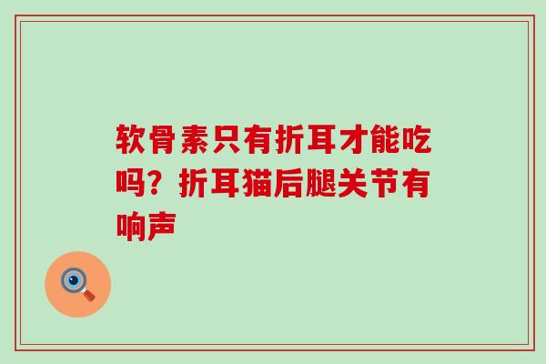 软骨素只有折耳才能吃吗?折耳猫后腿关节有响声 软骨素只有折耳才能吃吗?折耳猫后腿关节有响声