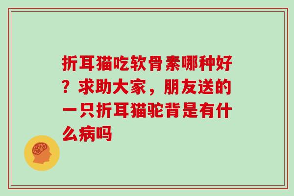 折耳猫吃软骨素哪种好?求助大家,朋友送的一只折耳猫驼背是有什么吗 折耳猫吃软骨素哪种好?求助大家,朋友送的一只折耳猫驼背是有什么吗