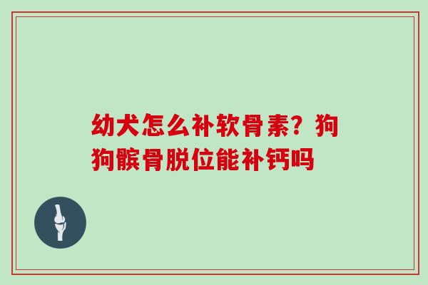 幼犬怎么补软骨素?狗狗髌骨脱位能补钙吗 幼犬怎么补软骨素?狗狗髌骨脱位能补钙吗