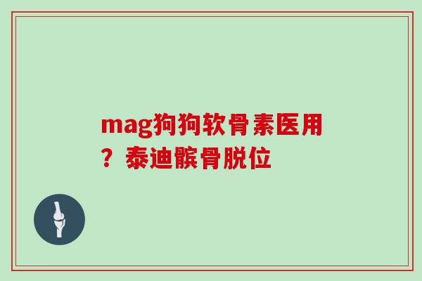 mag狗狗软骨素医用?泰迪髌骨脱位 mag狗狗软骨素医用?泰迪髌骨脱位