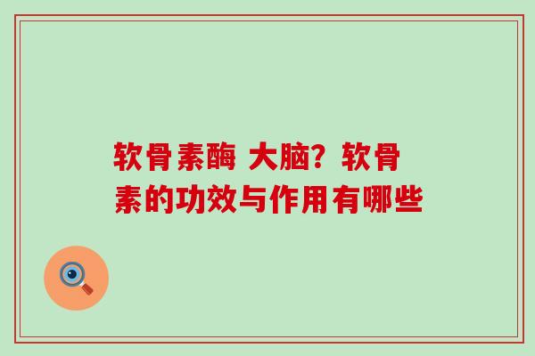 软骨素酶 大脑?软骨素的功效与作用有哪些 软骨素酶 大脑?软骨素的功效与作用有哪些