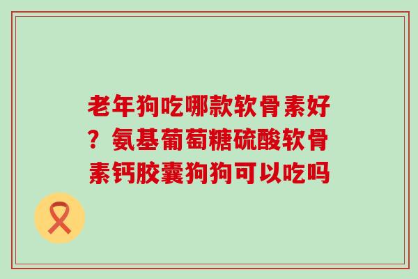 老年狗吃哪款软骨素好？氨基葡萄糖硫酸软骨素钙胶囊狗狗可以吃吗