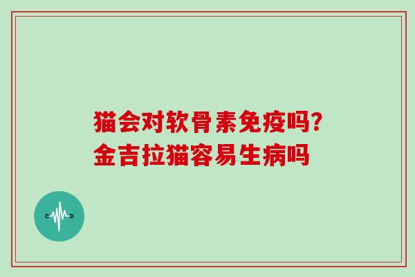 猫会对软骨素免疫吗?金吉拉猫容易生吗 猫会对软骨素免疫吗?金吉拉猫容易生吗