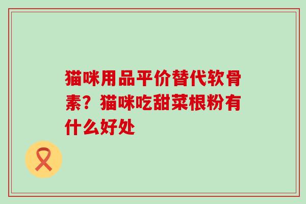 猫咪用品平价替代软骨素?猫咪吃甜菜根粉有什么好处 猫咪用品平价替代软骨素?猫咪吃甜菜根粉有什么好处