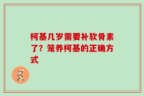 柯基几岁需要补软骨素了?笼养柯基的正确方式 柯基几岁需要补软骨素了?笼养柯基的正确方式