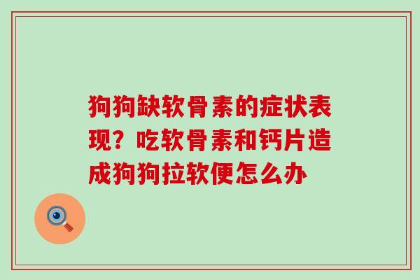 狗狗缺软骨素的症状表现？吃软骨素和钙片造成狗狗拉软便怎么办