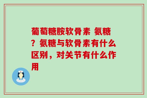 葡萄糖胺软骨素 氨糖？氨糖与软骨素有什么区别，对关节有什么作用