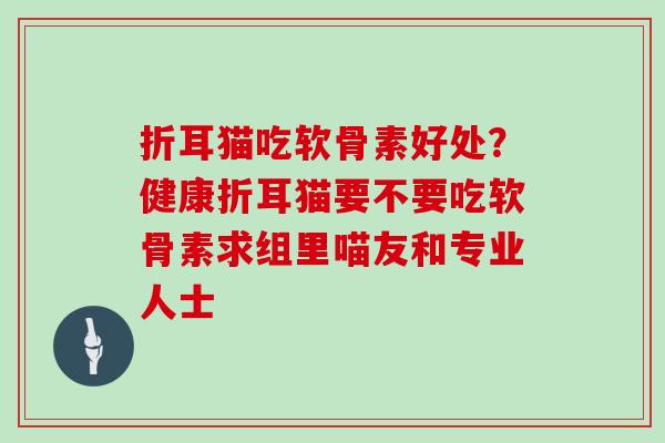 折耳猫吃软骨素好处?健康折耳猫要不要吃软骨素求组里喵友和专业人士 折耳猫吃软骨素好处?健康折耳猫要不要吃软骨素求组里喵友和专业人士