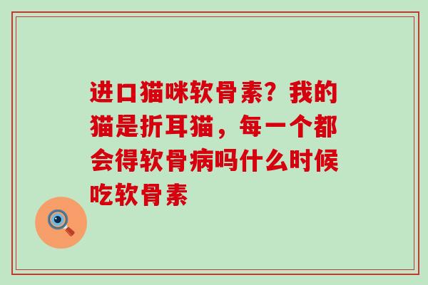 进口猫咪软骨素？我的猫是折耳猫，每一个都会得软骨吗什么时候吃软骨素