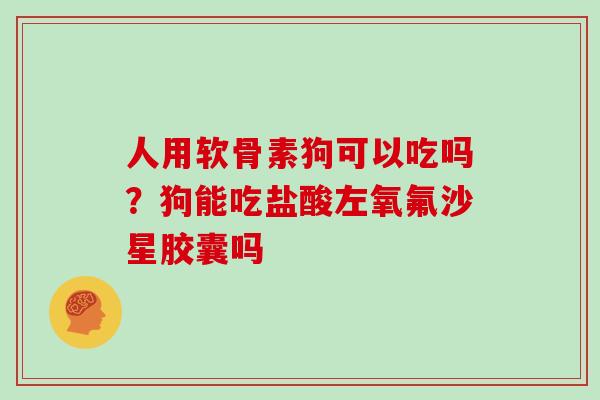 人用软骨素狗可以吃吗？狗能吃盐酸左氧氟沙星胶囊吗