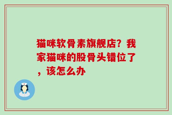 猫咪软骨素旗舰店？我家猫咪的股骨头错位了，该怎么办