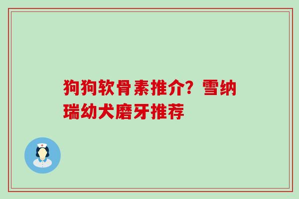 狗狗软骨素推介?雪纳瑞幼犬磨牙推荐 狗狗软骨素推介?雪纳瑞幼犬磨牙推荐