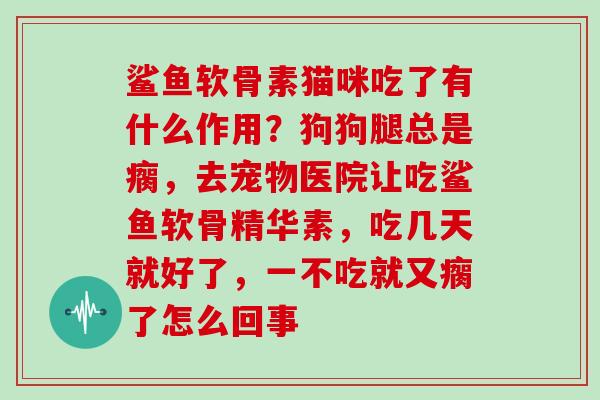 鲨鱼软骨素猫咪吃了有什么作用？狗狗腿总是瘸，去宠物医院让吃鲨鱼软骨精华素，吃几天就好了，一不吃就又瘸了怎么回事