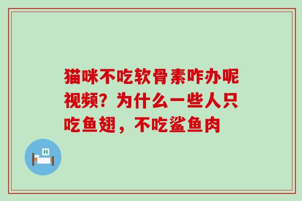 猫咪不吃软骨素咋办呢视频?为什么一些人只吃鱼翅,不吃鲨鱼肉 猫咪不吃软骨素咋办呢视频?为什么一些人只吃鱼翅,不吃鲨鱼肉