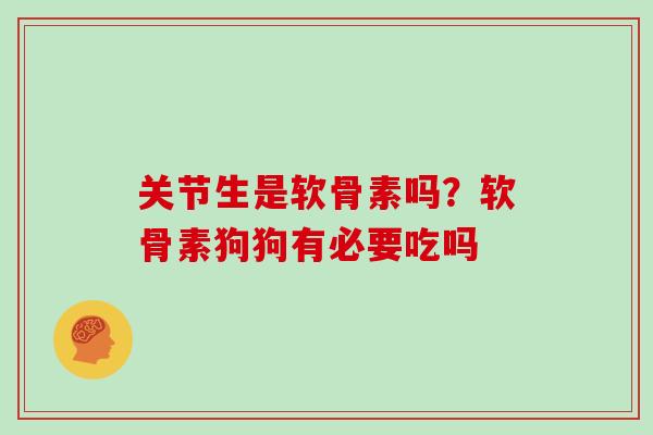 关节生是软骨素吗?软骨素狗狗有必要吃吗 关节生是软骨素吗?软骨素狗狗有必要吃吗
