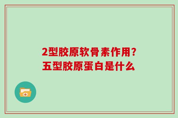 2型胶原软骨素作用?五型胶原蛋白是什么 2型胶原软骨素作用?五型胶原蛋白是什么