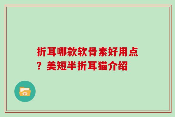 折耳哪款软骨素好用点？美短半折耳猫介绍