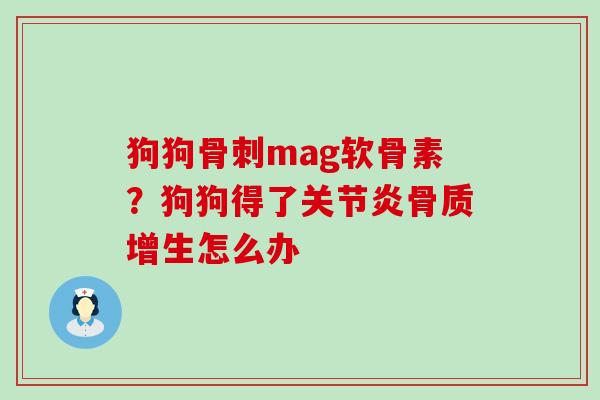 狗狗mag软骨素?狗狗得了怎么办 狗狗mag软骨素?狗狗得了怎么办