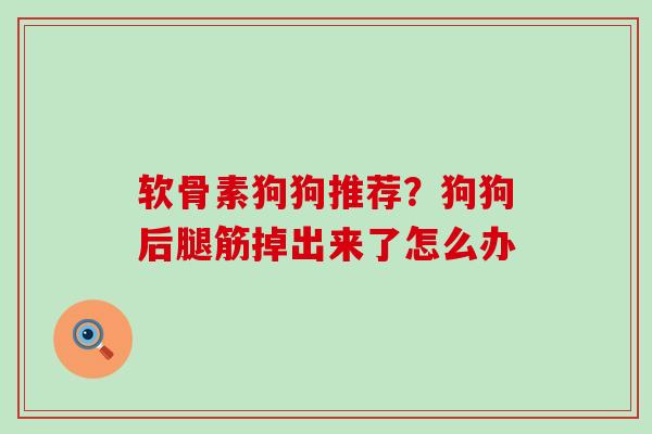 软骨素狗狗推荐?狗狗后腿筋掉出来了怎么办 软骨素狗狗推荐?狗狗后腿筋掉出来了怎么办