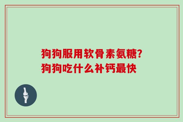 狗狗服用软骨素氨糖?狗狗吃什么补钙快 狗狗服用软骨素氨糖?狗狗吃什么补钙快