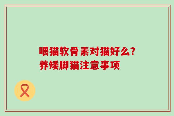 喂猫软骨素对猫好么?养矮脚猫注意事项 喂猫软骨素对猫好么?养矮脚猫注意事项