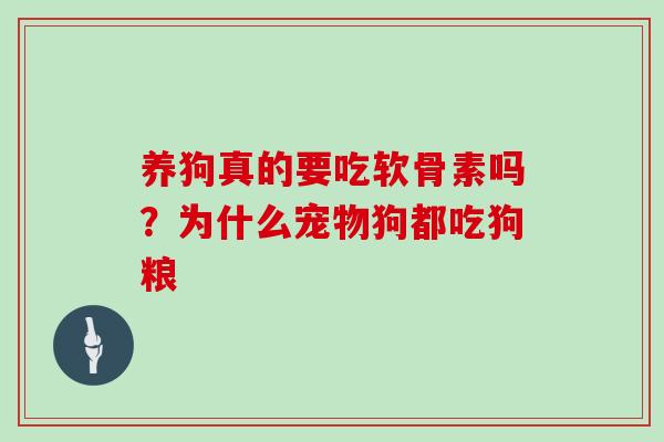 养狗真的要吃软骨素吗？为什么宠物狗都吃狗粮