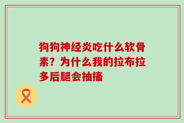 狗狗炎吃什么软骨素？为什么我的拉布拉多后腿会抽搐