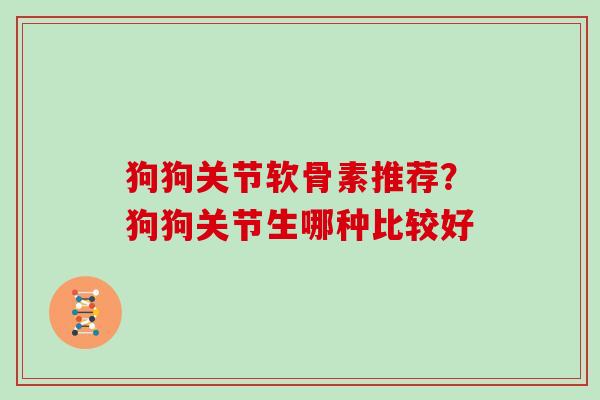 狗狗关节软骨素推荐？狗狗关节生哪种比较好