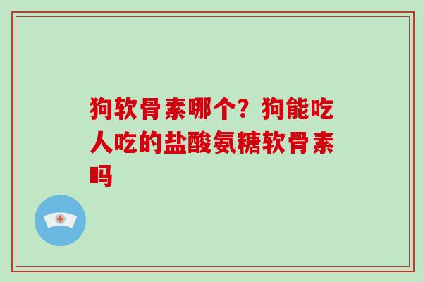 狗软骨素哪个?狗能吃人吃的盐酸氨糖软骨素吗 狗软骨素哪个?狗能吃人吃的盐酸氨糖软骨素吗