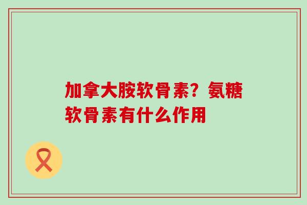 加拿大胺软骨素?氨糖软骨素有什么作用 加拿大胺软骨素?氨糖软骨素有什么作用