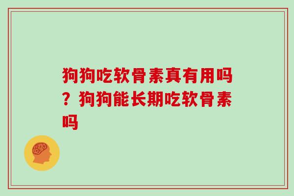 狗狗吃软骨素真有用吗?狗狗能长期吃软骨素吗 狗狗吃软骨素真有用吗?狗狗能长期吃软骨素吗