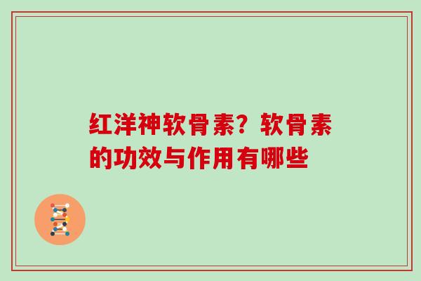 红洋神软骨素？软骨素的功效与作用有哪些