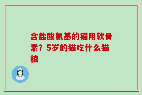 含盐酸氨基的猫用软骨素?5岁的猫吃什么猫粮 含盐酸氨基的猫用软骨素?5岁的猫吃什么猫粮