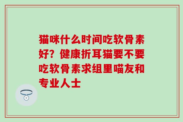 猫咪什么时间吃软骨素好？健康折耳猫要不要吃软骨素求组里喵友和专业人士