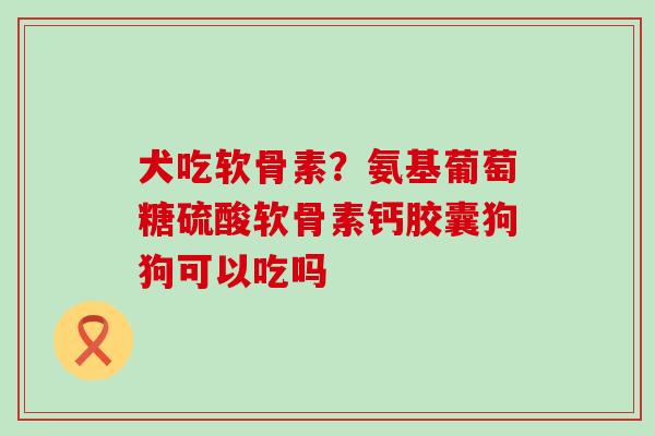 犬吃软骨素?氨基葡萄糖硫酸软骨素钙胶囊狗狗可以吃吗 犬吃软骨素?氨基葡萄糖硫酸软骨素钙胶囊狗狗可以吃吗