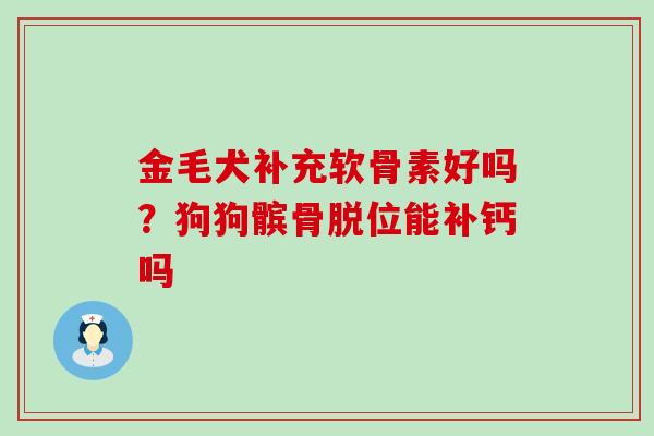 金毛犬补充软骨素好吗？狗狗髌骨脱位能补钙吗