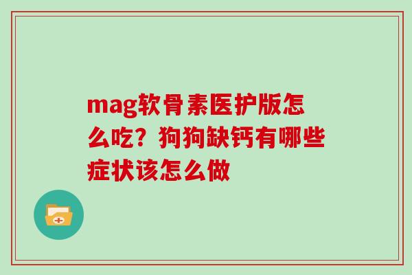 mag软骨素医护版怎么吃？狗狗缺钙有哪些症状该怎么做