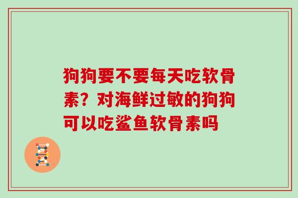 狗狗要不要每天吃软骨素?对海鲜的狗狗可以吃鲨鱼软骨素吗 狗狗要不要每天吃软骨素?对海鲜的狗狗可以吃鲨鱼软骨素吗