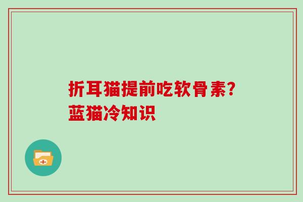 折耳猫提前吃软骨素?蓝猫冷知识 折耳猫提前吃软骨素?蓝猫冷知识