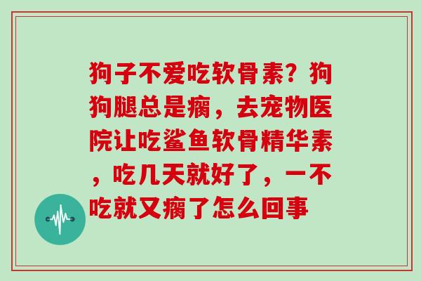 狗子不爱吃软骨素?狗狗腿总是瘸,去宠物医院让吃鲨鱼软骨精华素,吃几天就好了,一不吃就又瘸了怎么回事 狗子不爱吃软骨素?狗狗腿总是瘸,去宠物医院让吃鲨鱼软骨精华素,吃几天就好了,一不吃就又瘸了怎么回事