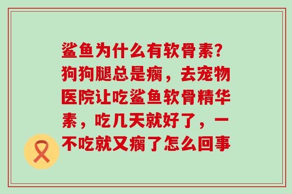 鲨鱼为什么有软骨素?狗狗腿总是瘸,去宠物医院让吃鲨鱼软骨精华素,吃几天就好了,一不吃就又瘸了怎么回事 鲨鱼为什么有软骨素?狗狗腿总是瘸,去宠物医院让吃鲨鱼软骨精华素,吃几天就好了,一不吃就又瘸了怎么回事
