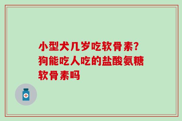 小型犬几岁吃软骨素?狗能吃人吃的盐酸氨糖软骨素吗 小型犬几岁吃软骨素?狗能吃人吃的盐酸氨糖软骨素吗