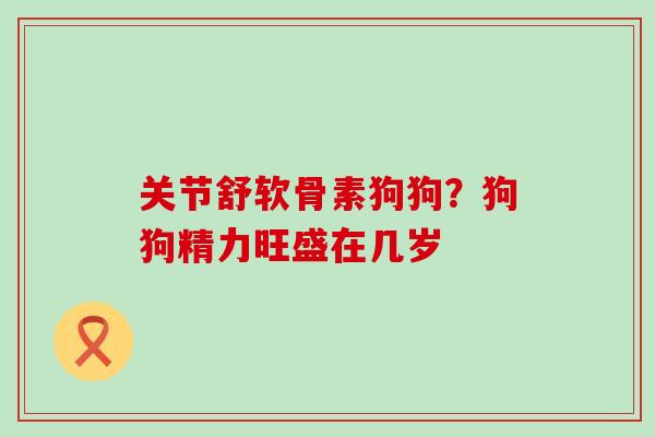 关节舒软骨素狗狗？狗狗精力旺盛在几岁